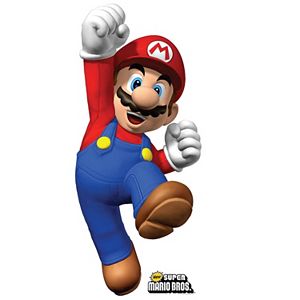 Super Mario Brothers Mario Standup